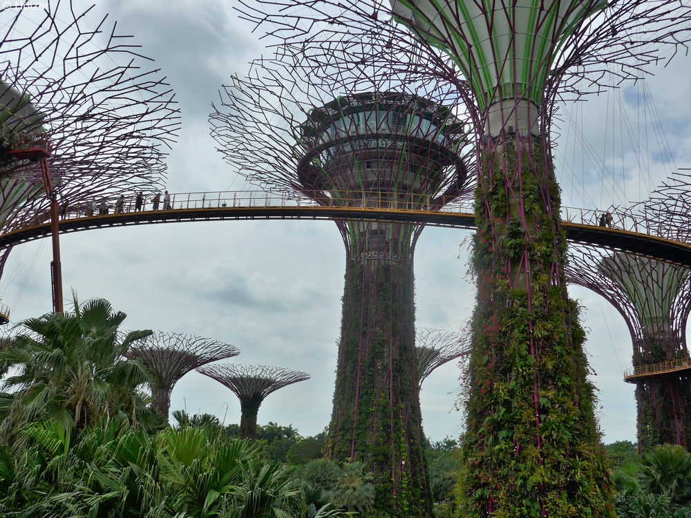 1000-2017-04-05-Singapur-P1000429_ji.jpg